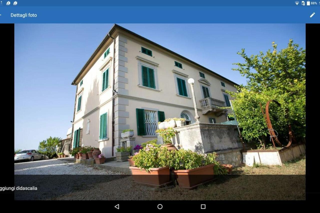 Affittacamere Porquier Crespina Luaran gambar