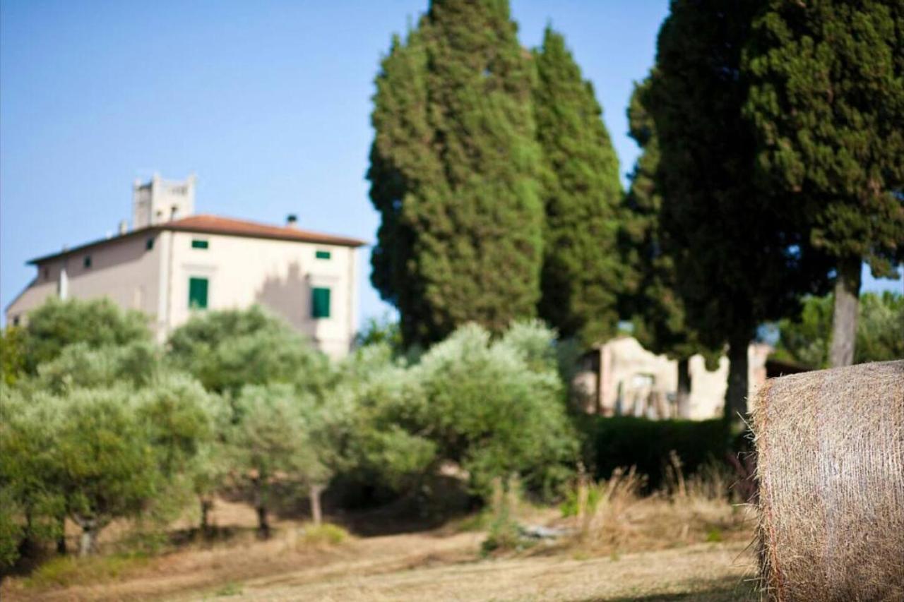 Affittacamere Porquier Crespina Luaran gambar